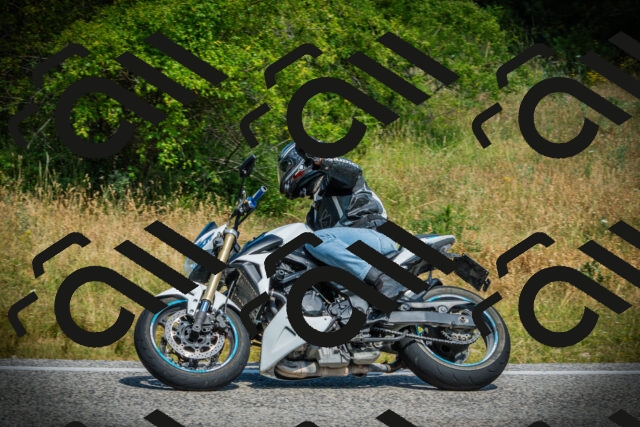 202507051120-DSC05513_c1_