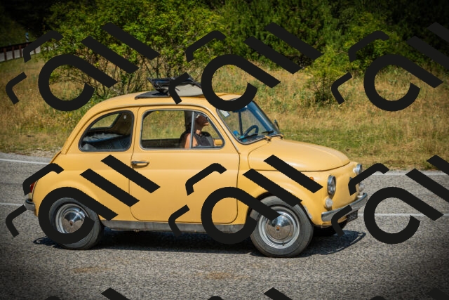 202507051123-DSC05528_c1_