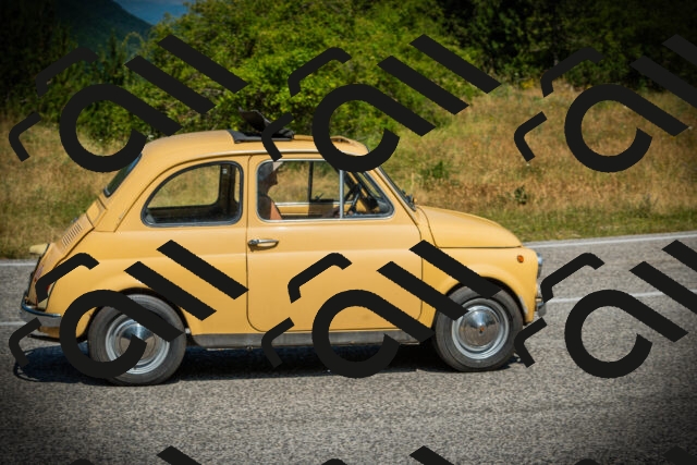 202507051123-DSC05529_c1_