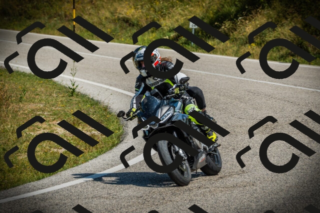 202507051125-DSC05531_c1_