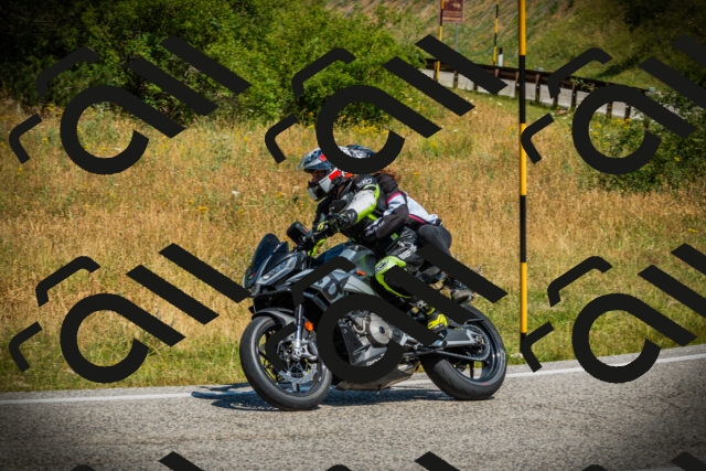 202507051125-DSC05532_c1_