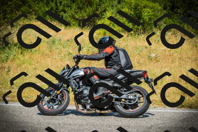 202507051126-DSC05553_c1_