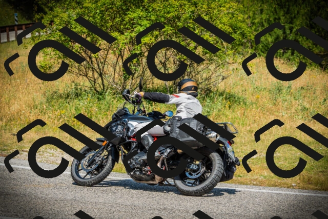 202507051127-DSC05559_c1_