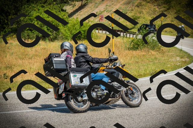 202507051130-DSC05612_c1_