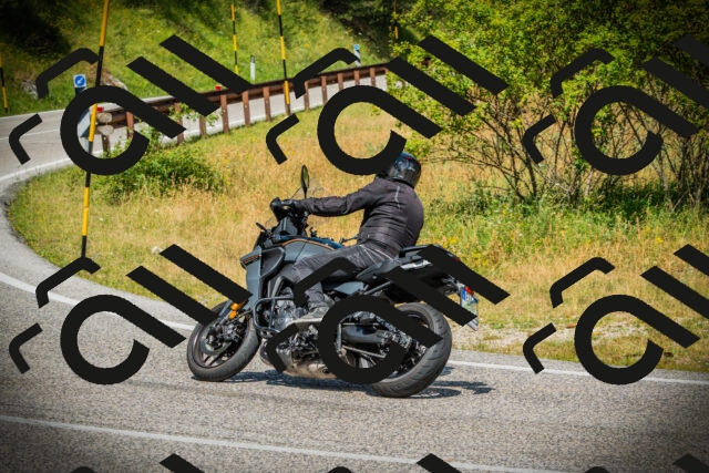 202507051131-DSC05618_c1_