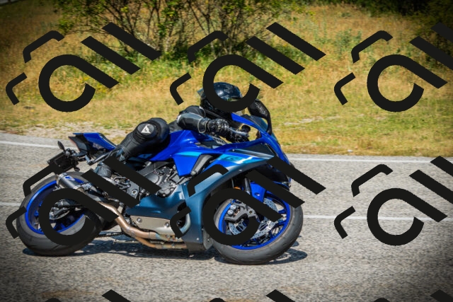 202507051133-DSC05628_c1_