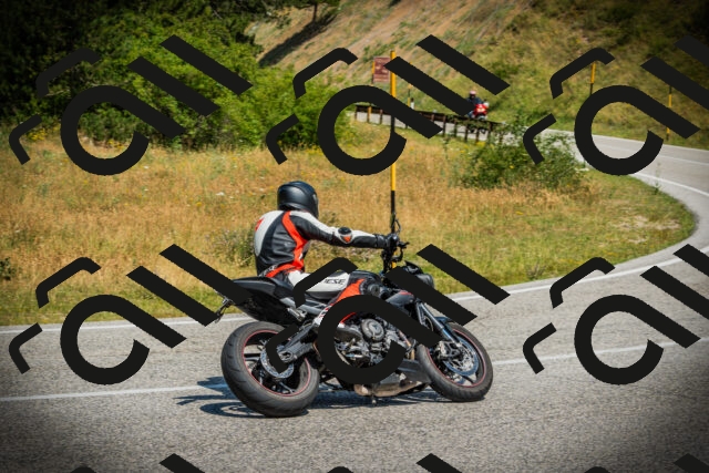 202507051133-DSC05646_c1_