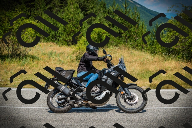 202507051133-DSC05647_c1_