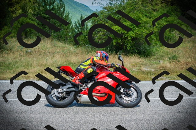 202507051135-DSC05683_c1_