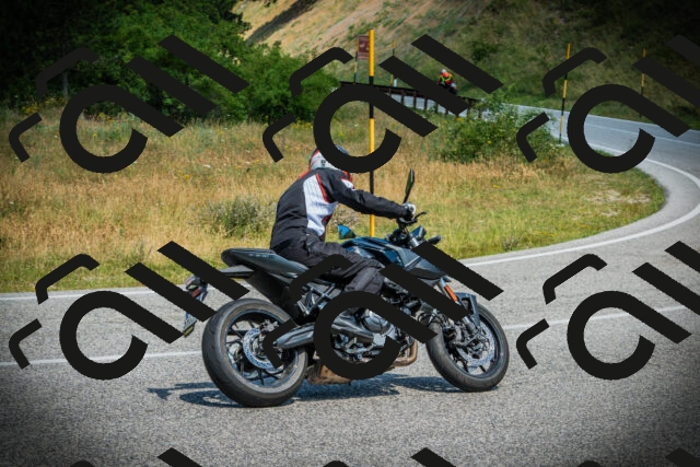 202507051136-DSC05688_c1_