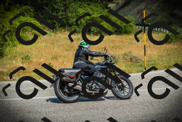 202507051136-DSC05695_c1_