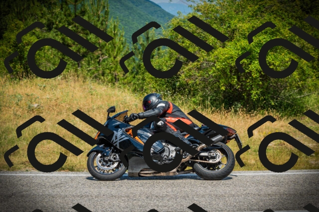 202507051136-DSC05698_c1_