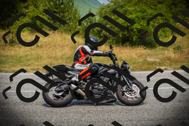 202507051136-DSC05703_c1_