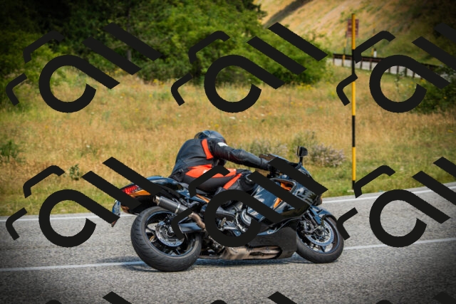 202507051137-DSC05709_c1_