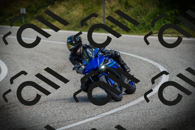 202507051137-DSC05712_c1_