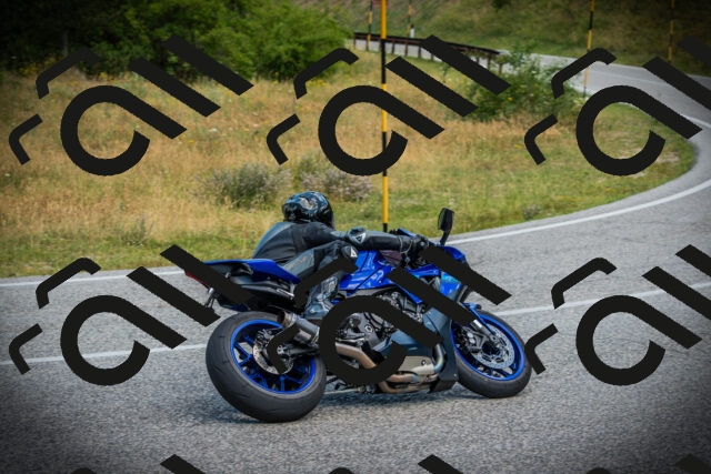 202507051138-DSC05724_c1_