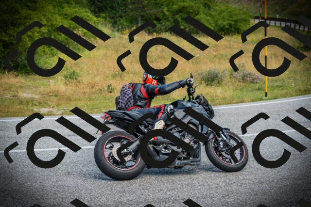 202507051138-DSC05729_c1_