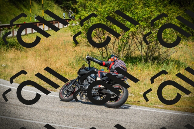 202507051141-DSC05757_c1_