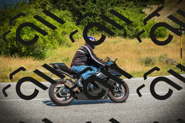 202507051141-DSC05762_c1_