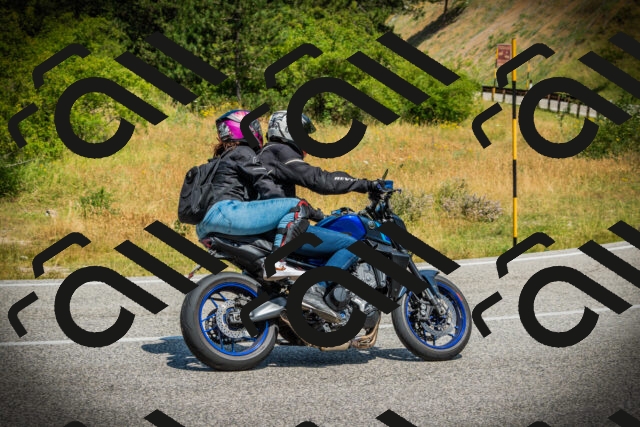 202507051142-DSC05781_c1_