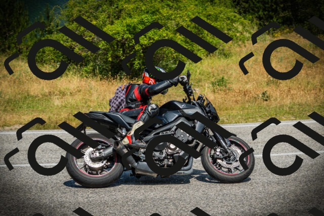 202507051142-DSC05785_c1_