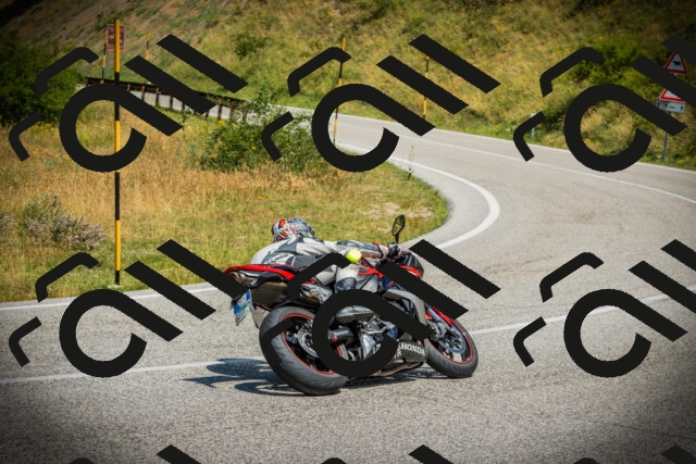 202507051142-DSC05794_c1_