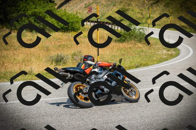 202507051155-DSC05878_c1_