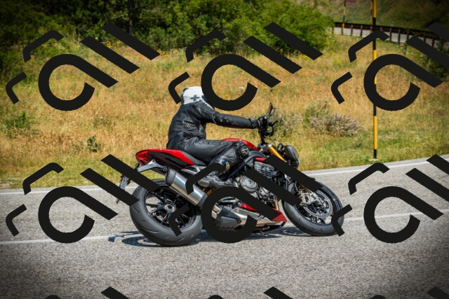 202507051155-DSC05888_c1_