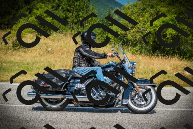 202507051159-DSC05935_c1_