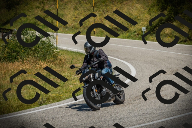 202507051200-DSC05947_c1_