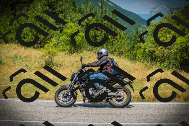 202507051200-DSC05948_c1_