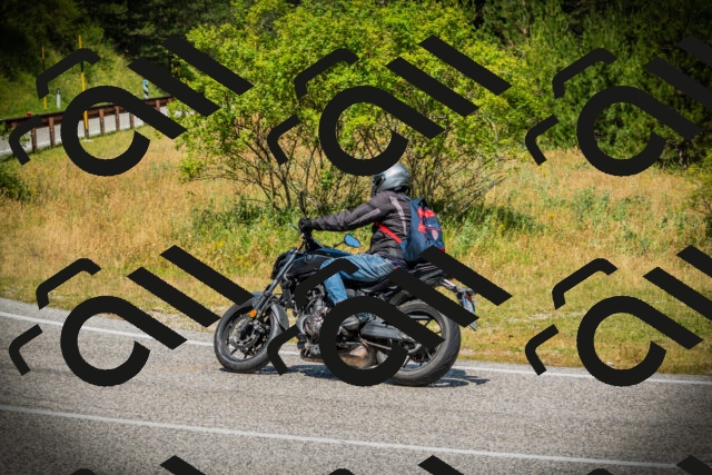 202507051200-DSC05949_c1_