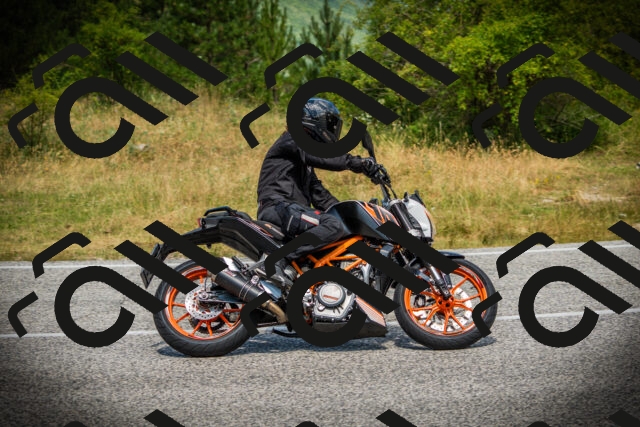 202507051200-DSC05953_c1_