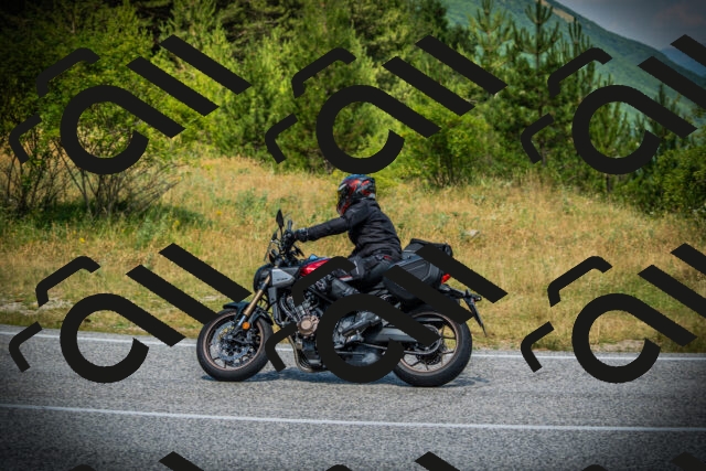 202507051204-DSC05971_c1_