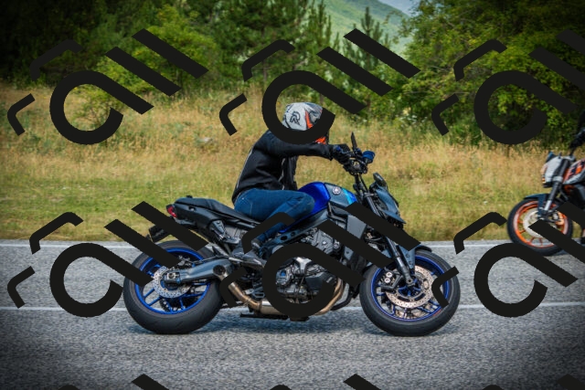 202507051207-DSC05991_c1_