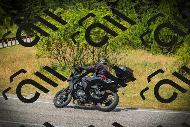 202507051211-DSC06024_c1_