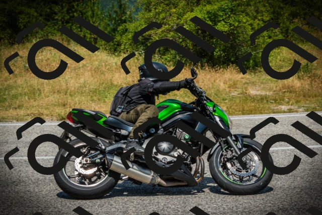 202507051214-DSC06050_c1_