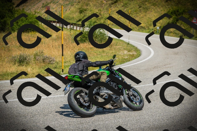 202507051214-DSC06051_c1_