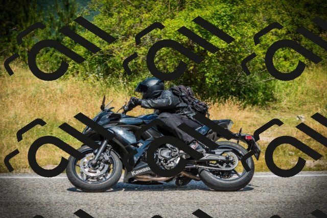 202507051216-DSC06058_c1_