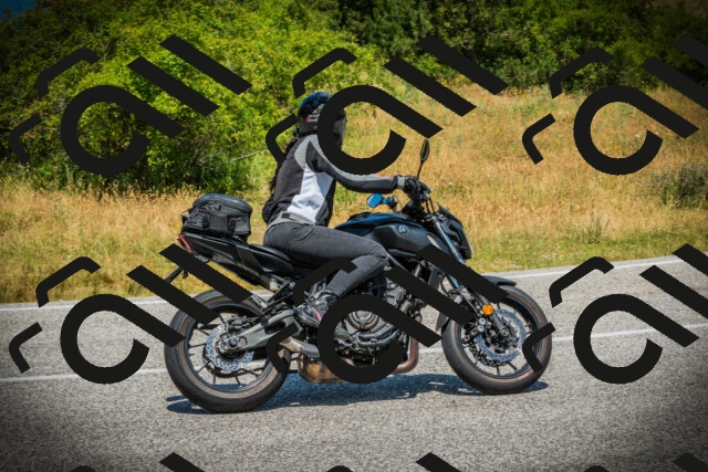 202507051220-DSC06113_c1_