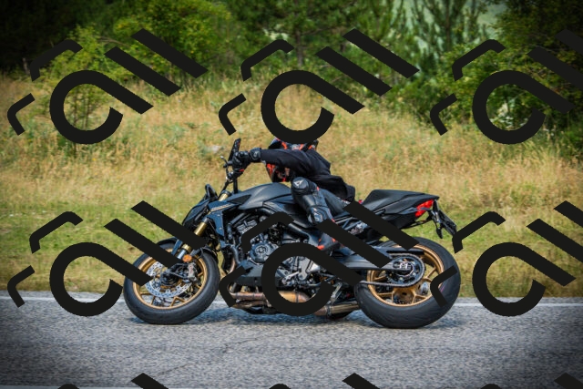 202507051223-DSC06165_c1_