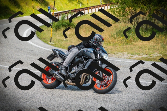 202507051225-DSC06199_c1_