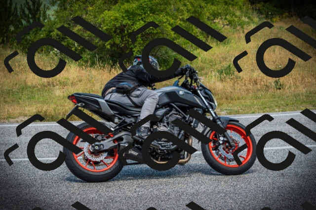 202507051225-DSC06200_c1_