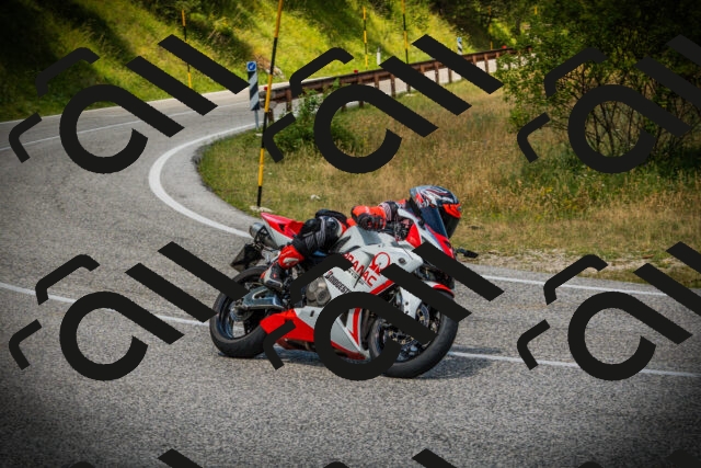 202507051225-DSC06201_c1_