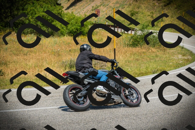 202507051227-DSC06214_c1_