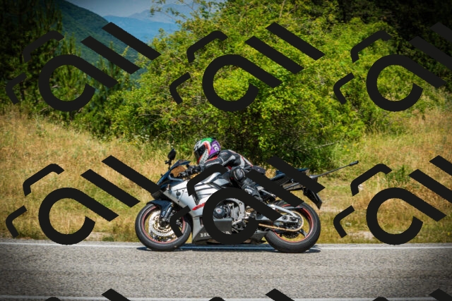 202507051228-DSC06234_c1_