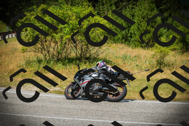 202507051228-DSC06235_c1_