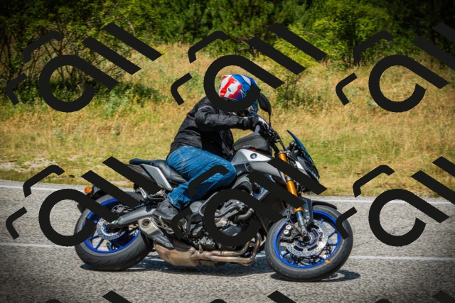 202507051230-DSC06248_c1_