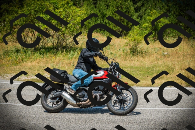 202507051230-DSC06251_c1_