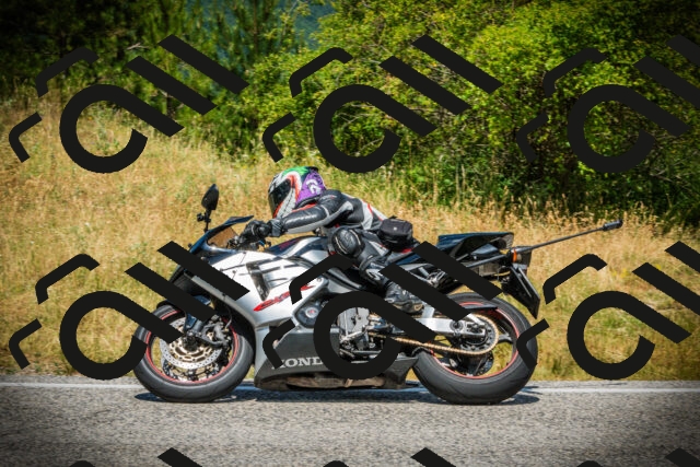 202507051230-DSC06254_c1_